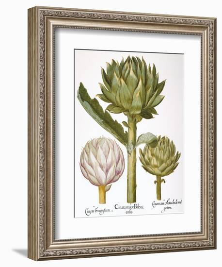 Artichoke, 1613-Besler Basilius-Framed Giclee Print