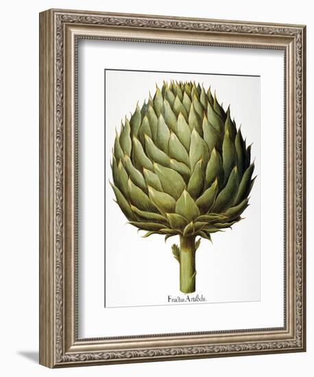 Artichoke, 1613-Besler Basilius-Framed Giclee Print