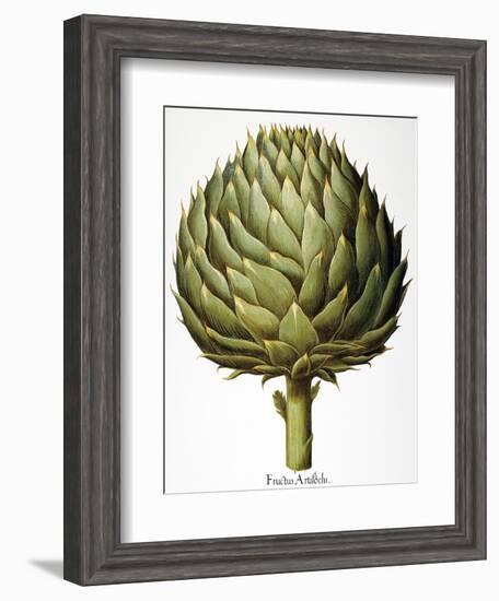 Artichoke, 1613-Besler Basilius-Framed Giclee Print