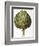 Artichoke, 1613-Besler Basilius-Framed Giclee Print