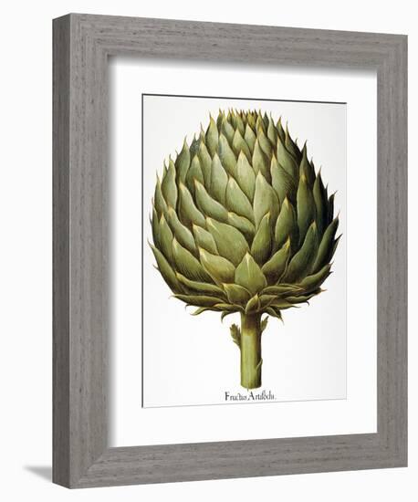 Artichoke, 1613-Besler Basilius-Framed Giclee Print