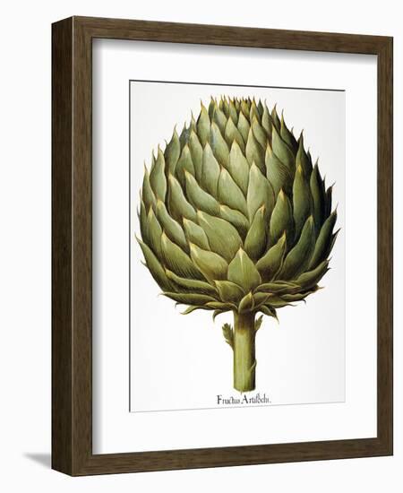 Artichoke, 1613-Besler Basilius-Framed Giclee Print