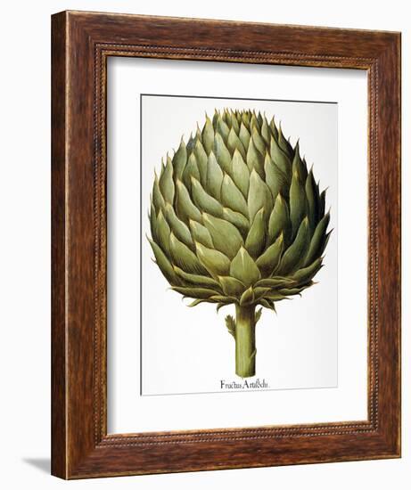 Artichoke, 1613-Besler Basilius-Framed Giclee Print