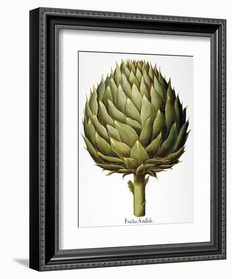 Artichoke, 1613-Besler Basilius-Framed Giclee Print