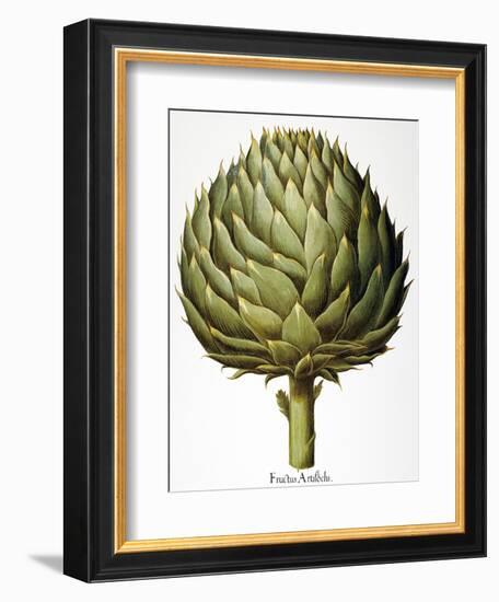 Artichoke, 1613-Besler Basilius-Framed Giclee Print