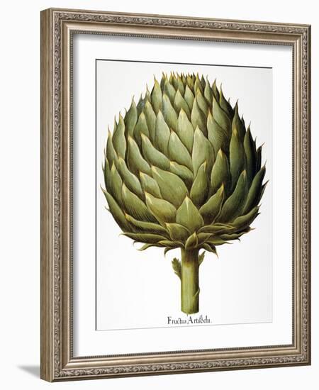 Artichoke, 1613-Besler Basilius-Framed Giclee Print