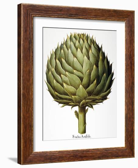 Artichoke, 1613-Besler Basilius-Framed Giclee Print