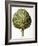 Artichoke, 1613-Besler Basilius-Framed Giclee Print