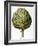 Artichoke, 1613-Besler Basilius-Framed Giclee Print