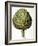 Artichoke, 1613-Besler Basilius-Framed Giclee Print