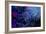 Artichoke_abst_horz3 (digital)-Scott J. Davis-Framed Giclee Print