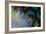 Artichoke_abst_horz8 (digital)-Scott J. Davis-Framed Giclee Print