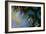 Artichoke_abst_horz8 (digital)-Scott J. Davis-Framed Giclee Print