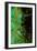 Artichoke_abst_vert2 (digital)-Scott J. Davis-Framed Giclee Print