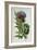 Artichoke, Botanical Plate-Marguerite Buret-Framed Premium Giclee Print