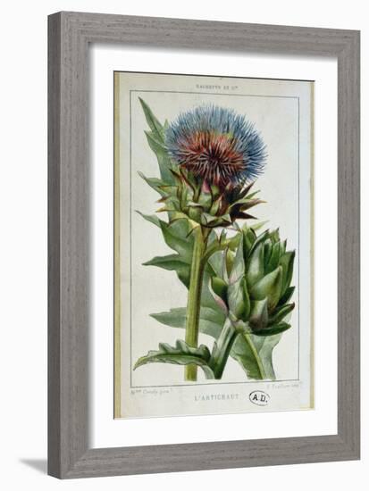 Artichoke, Botanical Plate-Marguerite Buret-Framed Premium Giclee Print