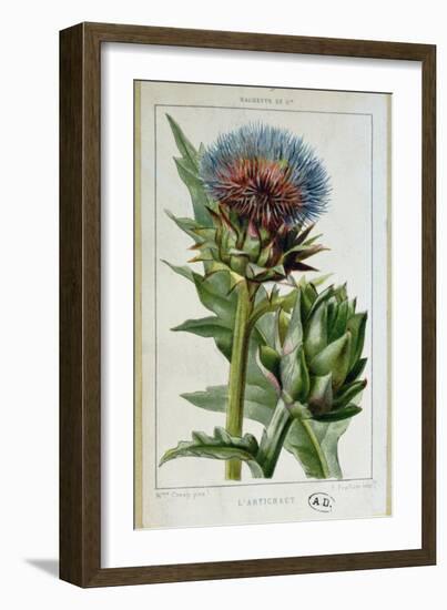 Artichoke, Botanical Plate-Marguerite Buret-Framed Premium Giclee Print