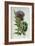 Artichoke, Botanical Plate-Marguerite Buret-Framed Premium Giclee Print