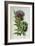 Artichoke, Botanical Plate-Marguerite Buret-Framed Premium Giclee Print