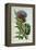 Artichoke, Botanical Plate-Marguerite Buret-Framed Premier Image Canvas