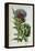 Artichoke, Botanical Plate-Marguerite Buret-Framed Premier Image Canvas