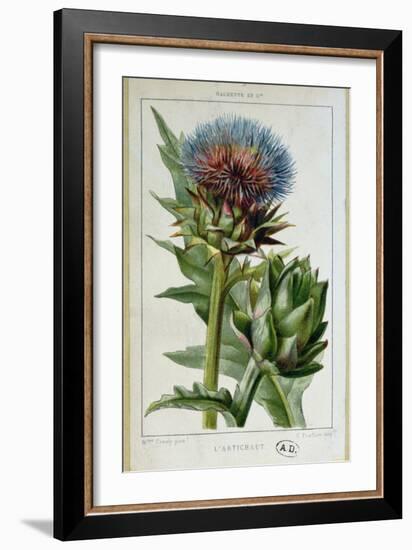 Artichoke, Botanical Plate-Marguerite Buret-Framed Giclee Print