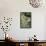 Artichoke (Cynara Scolymus) Flowers-Veronique Leplat-Framed Premier Image Canvas displayed on a wall