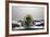 Artichoke FreshSplash-Steve Gadomski-Framed Photographic Print