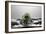 Artichoke FreshSplash-Steve Gadomski-Framed Photographic Print