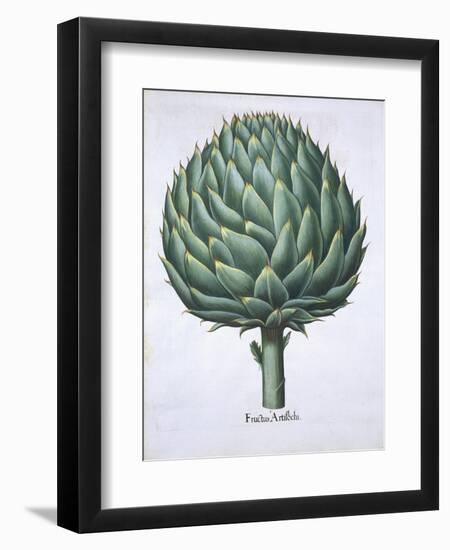 Artichoke from Hortus Eystettensis by Basil Besler-null-Framed Giclee Print