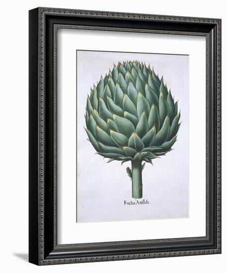 Artichoke from Hortus Eystettensis by Basil Besler-null-Framed Giclee Print