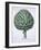 Artichoke from Hortus Eystettensis by Basil Besler-null-Framed Giclee Print