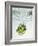 Artichoke in Water-Biwa-Framed Photographic Print