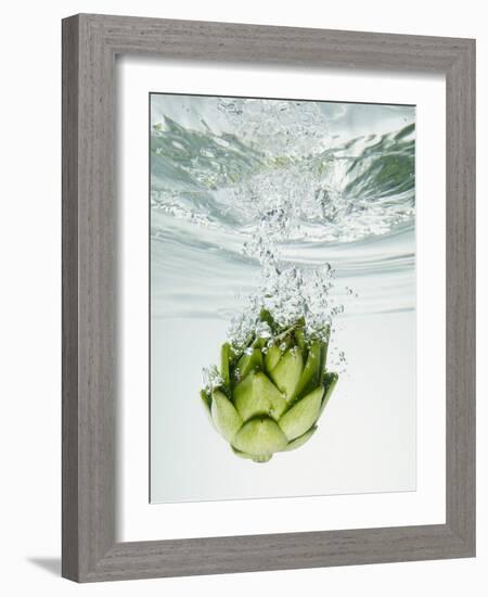 Artichoke in Water-Biwa-Framed Photographic Print