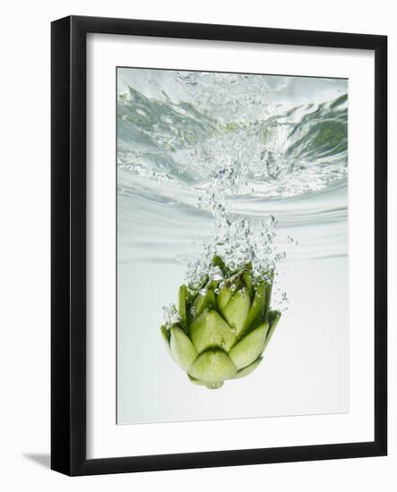 Artichoke in Water-Biwa-Framed Photographic Print