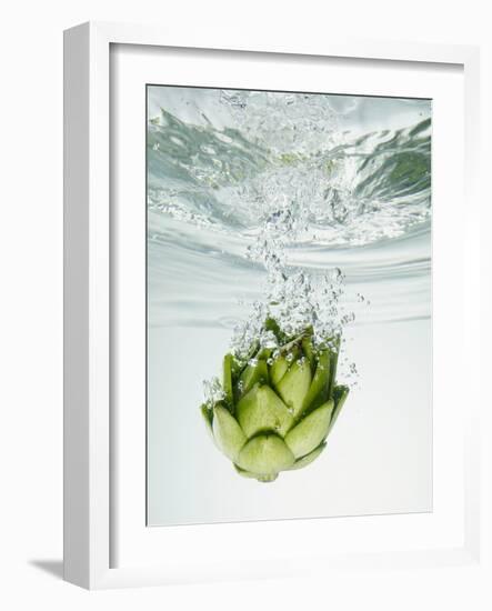Artichoke in Water-Biwa-Framed Photographic Print
