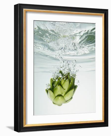 Artichoke in Water-Biwa-Framed Photographic Print