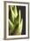 Artichoke Leaves-null-Framed Photographic Print