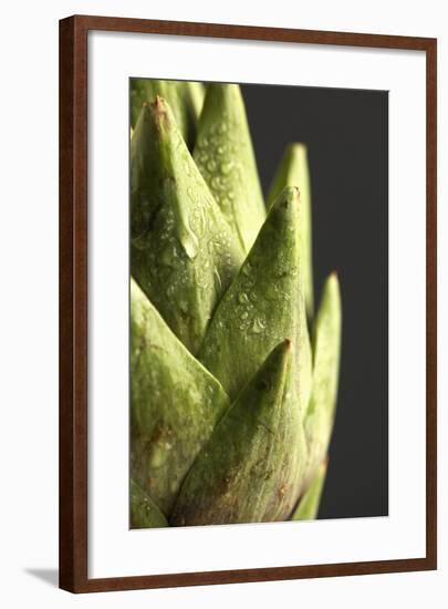 Artichoke Leaves-null-Framed Photographic Print