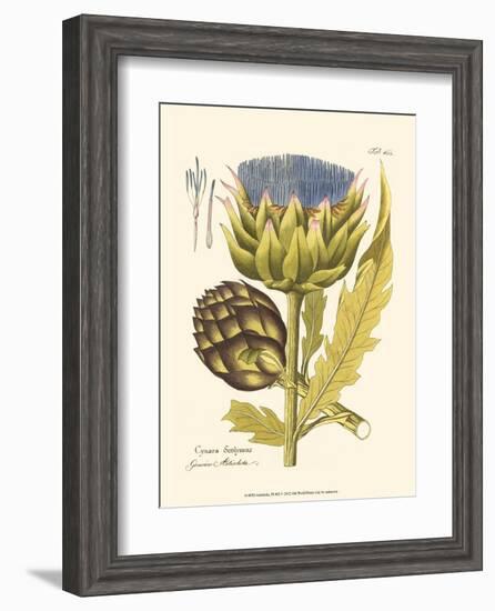 Artichoke, Pl. 462-null-Framed Art Print