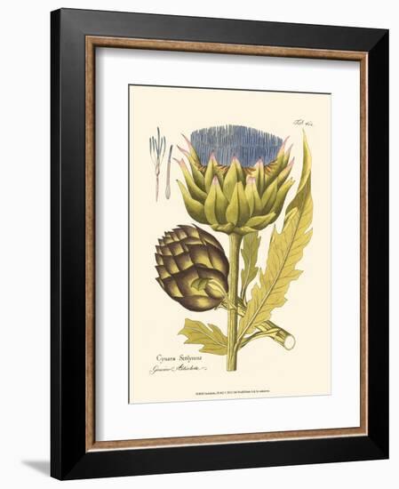 Artichoke, Pl. 462-null-Framed Art Print