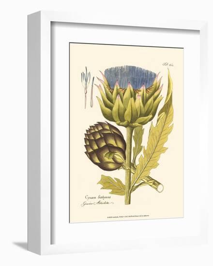 Artichoke, Pl. 462-null-Framed Art Print