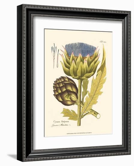 Artichoke, Pl. 462-null-Framed Art Print