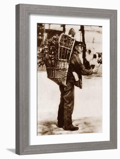 Artichoke Seller, Paris, 1900-null-Framed Photographic Print