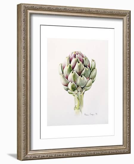 Artichoke Study, 1993-Alison Cooper-Framed Giclee Print