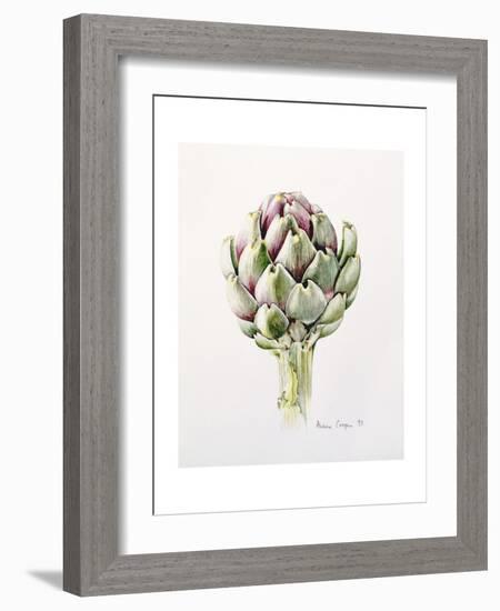 Artichoke Study, 1993-Alison Cooper-Framed Giclee Print