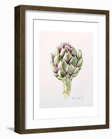 Artichoke Study, 1993-Alison Cooper-Framed Giclee Print