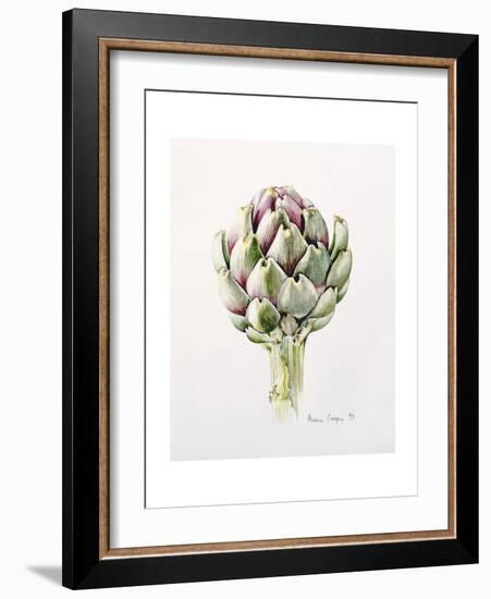 Artichoke Study, 1993-Alison Cooper-Framed Giclee Print