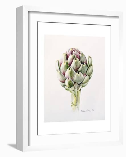 Artichoke Study, 1993-Alison Cooper-Framed Giclee Print