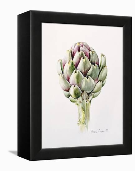 Artichoke Study, 1993-Alison Cooper-Framed Premier Image Canvas